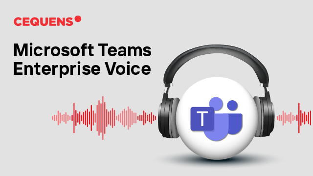 Microsoft Teams Enterprise Voice